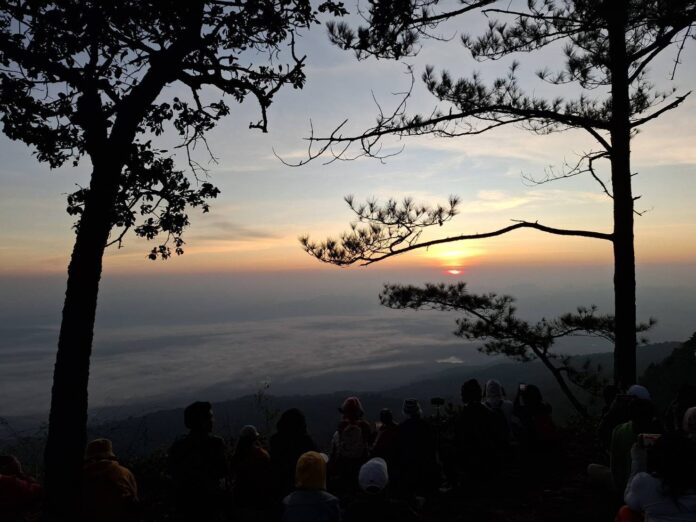 Phu Kradueng park closes after tourist tragedy with wild elephant | News by Thaiger