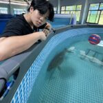 พี่น้อง 'อิน-เอมBelow the Tides' ระดมทุนช่วยป้องกัน 'พะยูน' สูญพันธุ์
