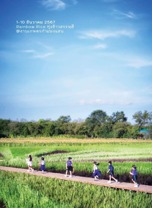รายงานพิเศษ