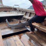 พบครั้งแรก 'ฉลามหัวบั้ง' โผล่แนวชายหาดอ่าวลิง เกาะพีพีดอน เสี่ยงใกล้สูญพันธุ์