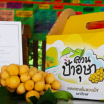 มสธ. ขยายบทบาทการพัฒนาสังคม ลงพื้นที่ 3 จชต. ยกระดับเกษตรกรรุ่นใหม่