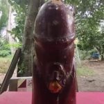 ที่พึ่งชาวบ้าน แห่ขอโชคลาภ-เลขเด็ด ปลัดขิกใหญ่ยักษ์ จุดธูป-ลูบแป้งเห็นชัด เล็งเสี่ยงดวง