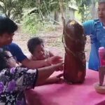 ที่พึ่งชาวบ้าน แห่ขอโชคลาภ-เลขเด็ด ปลัดขิกใหญ่ยักษ์ จุดธูป-ลูบแป้งเห็นชัด เล็งเสี่ยงดวง
