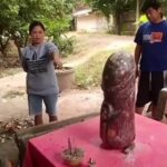 ที่พึ่งชาวบ้าน แห่ขอโชคลาภ-เลขเด็ด ปลัดขิกใหญ่ยักษ์ จุดธูป-ลูบแป้งเห็นชัด เล็งเสี่ยงดวง