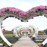 เมืองกาญจน์ก็มีลำไยนะ สุขแบบไทยชวนเที่ยวชมสวนดอกไม้สวยพร้อมรับปฏิทินปีใหม่
