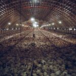 COP29: ล้มเหลวปฏิรูประบบอาหาร ปล่อยวิกฤตโลกร้อนลุกลาม