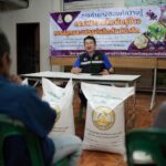 กรมการข้าว หนุน ‘บักวีต’ ปลูกเป็นพืชหลังนาสร้างรายได้เสริม เพิ่มคุณภาพชีวิตอย่างยั่งยืนบนพื้นที่สูง