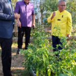 ชัยภูมิ Go Green