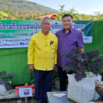 ชัยภูมิ Go Green