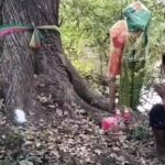 ชาวบ้านถวายชุดไทย แม่ตะเคียนคู่อายุ 100 ปี ไม่พลาดจุดธูปขอโชค เลขโผล่เห็นชัด