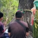 ชาวบ้านถวายชุดไทย แม่ตะเคียนคู่อายุ 100 ปี ไม่พลาดจุดธูปขอโชค เลขโผล่เห็นชัด