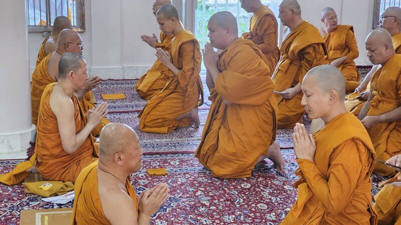 แพท พาวเวอร์แพท