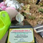 สุดสลด รถตู้กลับจากแข่งเรือยาว เสียหลักชนต้นไม้พังยับ ดับ 3 บาด เจ็บอีก 8 คน