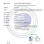 ชาวกระบี่ปลื้ม ชายหาดที่สดใส อ่าวมาหยา ได้รับการรับรอง มาตรฐาน ISO 13009