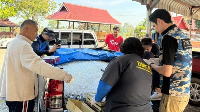 Irrawaddy dolphin dies of freshwater shock in Prachin Buri | News by Thaiger