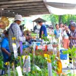 พิพิธภัณฑ์การเกษตรฯ ปทุมธานี  เผยคุณค่า-เสน่ห์สีสันดอกไม้กินได้ งาน 'หวานใจสายเกษตร' 