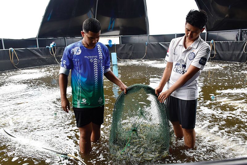 หลาก&หลายเกษตร - ฝึกเลี้ยง‘กุ้งขาวแวนนาไม’ สร้างรายได้นักศึกษาระหว่างเรียน