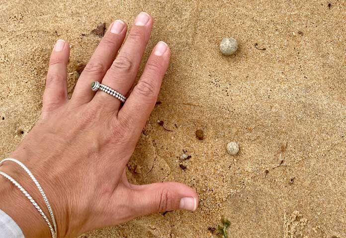 ผงะอีกรอบ “เม็ดบอลปริศนา” โผล่เกลื่อนกลาด-ออสเตรเลียสั่งปิดหาดดัง 9 แห่ง