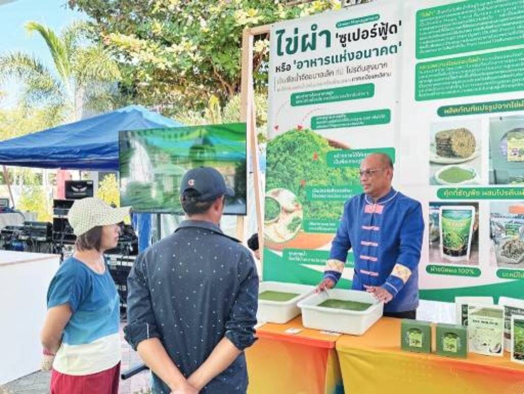 ข่าวสดหลากหลาย