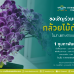 เชิญร่วมประกวด กล้วยไม้ตัดดอก-ใช้ประโยชน์จากดอกกล้วยไม้ งานเกษตรแฟร์ ปี'68
