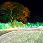 'ณ สัทธา' ชวนสัมผัสมนต์เสน่ห์แห่งแสงไฟ Nasatta Light Festival : Winter Illumination 2025