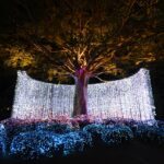 'ณ สัทธา' ชวนสัมผัสมนต์เสน่ห์แห่งแสงไฟ Nasatta Light Festival : Winter Illumination 2025