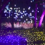 'ณ สัทธา' ชวนสัมผัสมนต์เสน่ห์แห่งแสงไฟ Nasatta Light Festival : Winter Illumination 2025