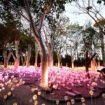 'ณ สัทธา' ชวนสัมผัสมนต์เสน่ห์แห่งแสงไฟ Nasatta Light Festival : Winter Illumination 2025