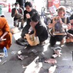 ญาติอัญเชิญดวงวิญญาณ หมวดบรรรัง กลับบ้าน ประกอบพิธี รดน้ำศพ วัดสายไหม