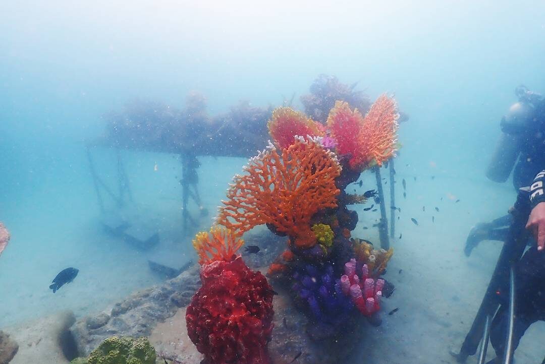 หลากหลาย - ‘Sea walker’ เมืองพัทยา ทช.ชูโมเดลเที่ยวเชิงอนุรักษ์