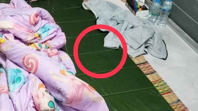 สาวร้อง เจอหลวงพี่เล่นมนต์ เป่าหัวจนเคลิ้ม ย่องลักหลับจนเสร็จกิจ เมียพระแฉพฤติกรรมฉาว