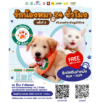 รักน้องหมา 24 ชั่วโมง ครั้งที่ 4 ฉีดวัคซีน ทำหมัน หมา-แมว ฟรี