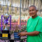 สวนนงนุชพัทยาคว้ารางวัลพระราชทานชนะเลิศยอดเยี่ยม การประกวดสับปะรดสี 