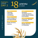พม. ชวนเที่ยวงาน “Rice of life ประเพณีกินข้าวใหม่ วิถีแห่งความยั่งยืน”