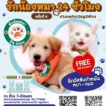 รักน้องหมา 24 ชั่วโมง ครั้งที่ 4 ฉีดวัคซีน ทำหมัน หมา-แมว ฟรี