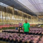 สวนนงนุชพัทยาคว้ารางวัลพระราชทานชนะเลิศยอดเยี่ยม การประกวดสับปะรดสี 
