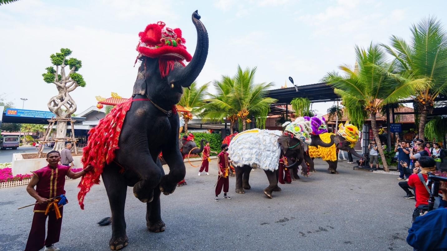 สวนนงนุช  จัดขบวนช้างเชิดสิงโตสุดคึกคัก อวยพรตรุษจีนให้นักท่องเที่ยว  - ข่าวสด