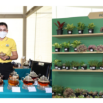 มูลนิธิโครงการหลวงร่วมกับสยามพารากอน ชวนสัมผัสบรรยากาศแห่งความสุนทรีย์