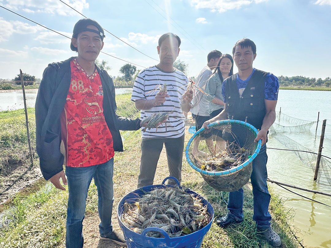 หลาก&หลาย - พลิกไร่นาเลี้ยงกุ้งก้ามกราม รายได้งามออร์เดอร์เพียบไม่พอขาย