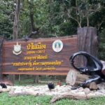 กรมอุทยานฯ เปิดรับฟังความคิดเห็น ปชช.มีส่วนได้เสีย เพิกถอนสวนรุกขชาติโป่งสลี
