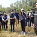 ชัชชาติ คุยชาวนา ‘หนองจอก-ลาดกระบัง’ ใช้รถอัดฟาง ลดเผาตอซัง จ่อปั้นแบรนด์ข้าว กทม. ‘ไม่เผา’ 
