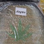 เปิดตัวเสื้อเกราะกันกระสุน ต้นกัญชง ตร.คอนเฟิร์ม ได้มาตรฐานสากล จ่อทดสอบลูกปืนจริง