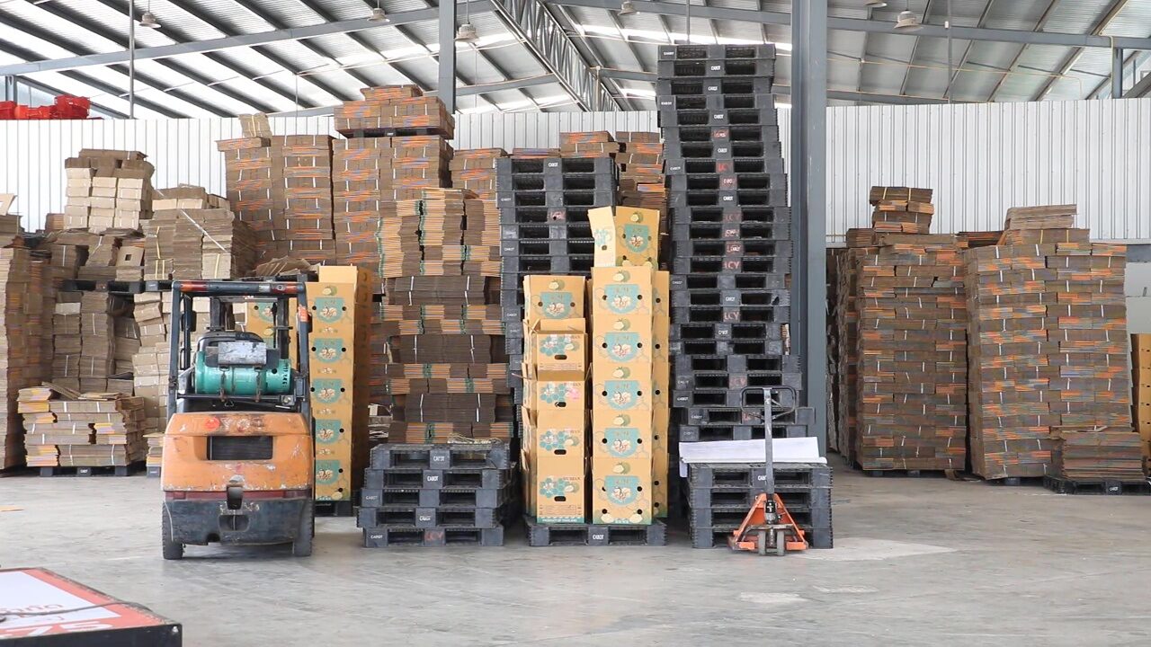 Thai durian exporters face losses due to new Chinese regulations | News by Thaiger