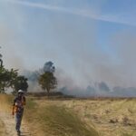 โคราช PM 2.5 พุ่ง ชาวนาไม่กลัวกฎหมาย เผาตอซังข้าว ลุกลามไหม้เสียหายกว่า 100 ไร่