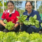 โก โฮลเซลล์ รับซื้อผักออร์แกนิก ชาวสวนสงขลา สร้างสุขภาพดี มีรายได้ยั่งยืน
