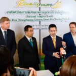 กองทุนภูมิอากาศสีเขียวหนุนไทย 4 พันล้าน เดินหน้าปรับเปลี่ยนวิถีปลูกข้าวรับมือภาวะโลกร้อน