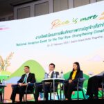 กองทุนภูมิอากาศสีเขียวหนุนไทย 4 พันล้าน เดินหน้าปรับเปลี่ยนวิถีปลูกข้าวรับมือภาวะโลกร้อน