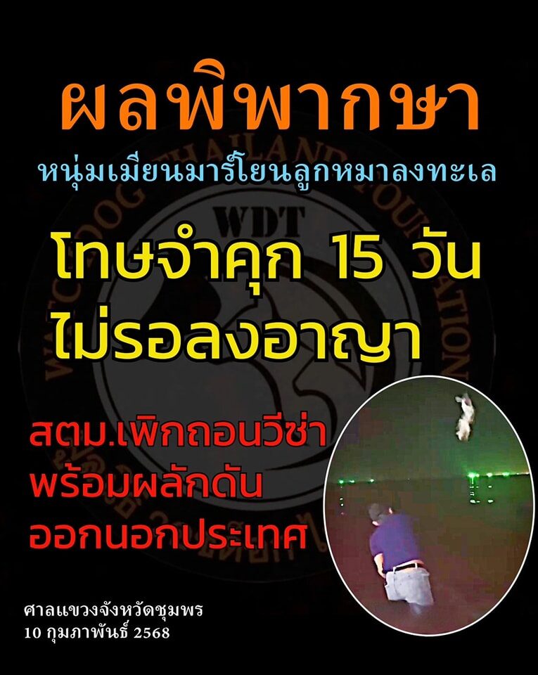 คอตกนอนคุก หนุ่มเมียนมา จับหมาโยนทะเล ศาลสั่งลงโทษจำคุก 15 วัน ไม่รอลงอาญา