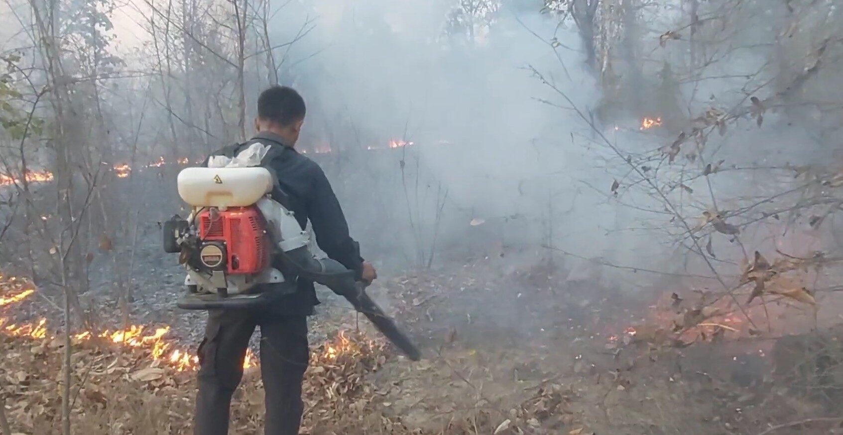 Wildfires in Tak worsen air quality, efforts to contain blaze continue | News by Thaiger