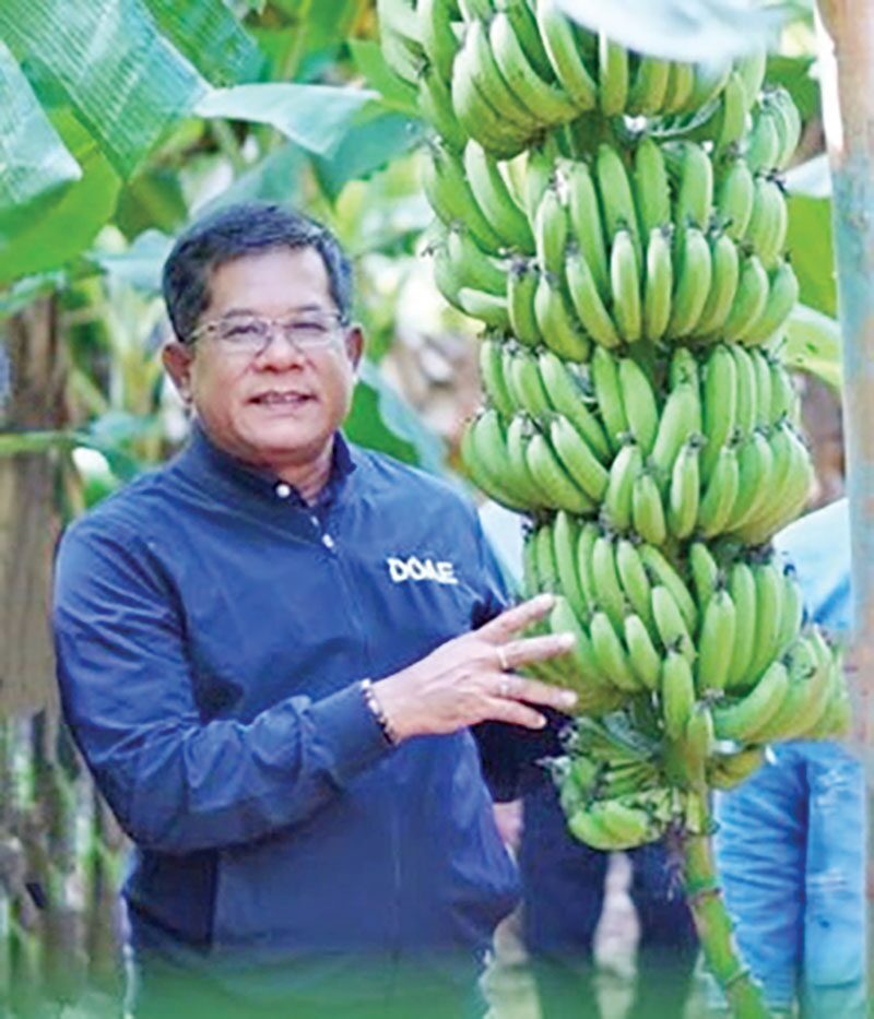 หลาก&หลายเกษตร - ไร่ไพวัลย์ลพบุรีแหล่งเรียนรู้ กล้วยหอมคาเวนดิชผลไม้อนาคตไกล